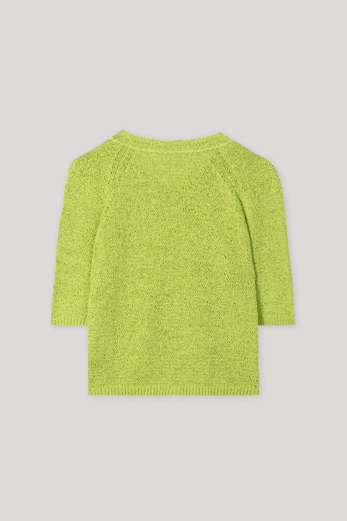 V-Neck-Pullover - pea green - Standard | Artikel Rück