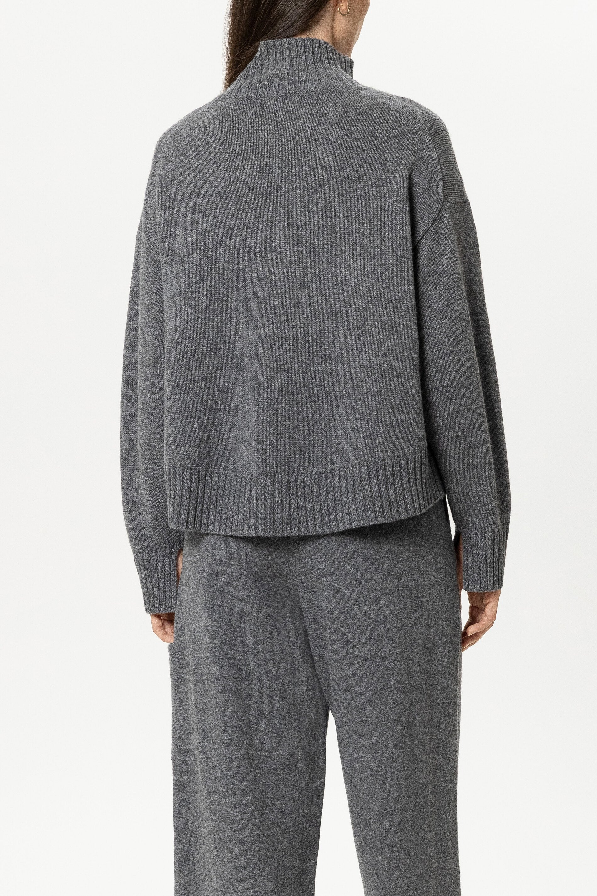 Turtleneck aus Woll-Mix - multi - Standard | Model Rück