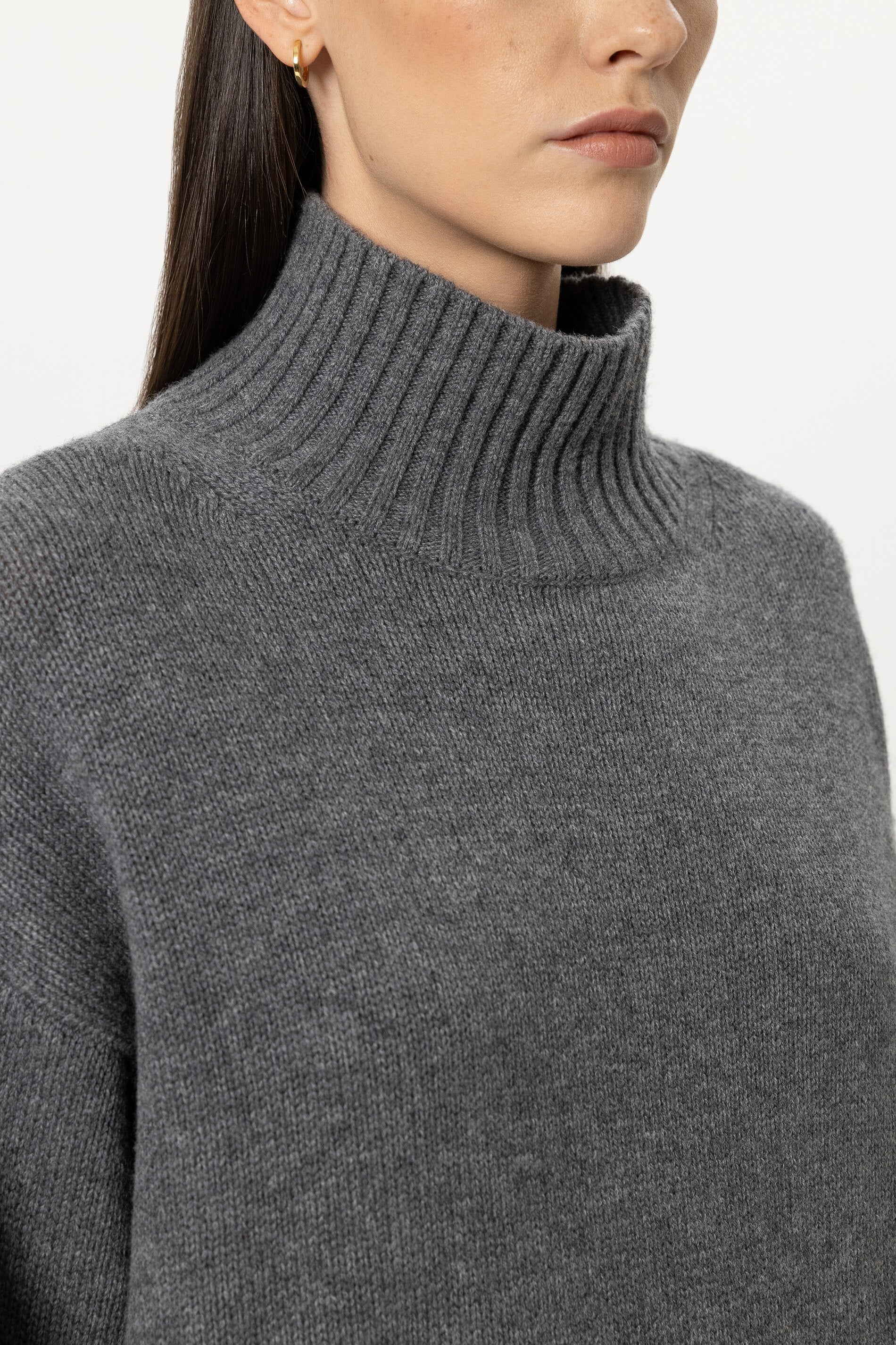 Turtleneck aus Woll-Mix - multi - Standard | Model Detail