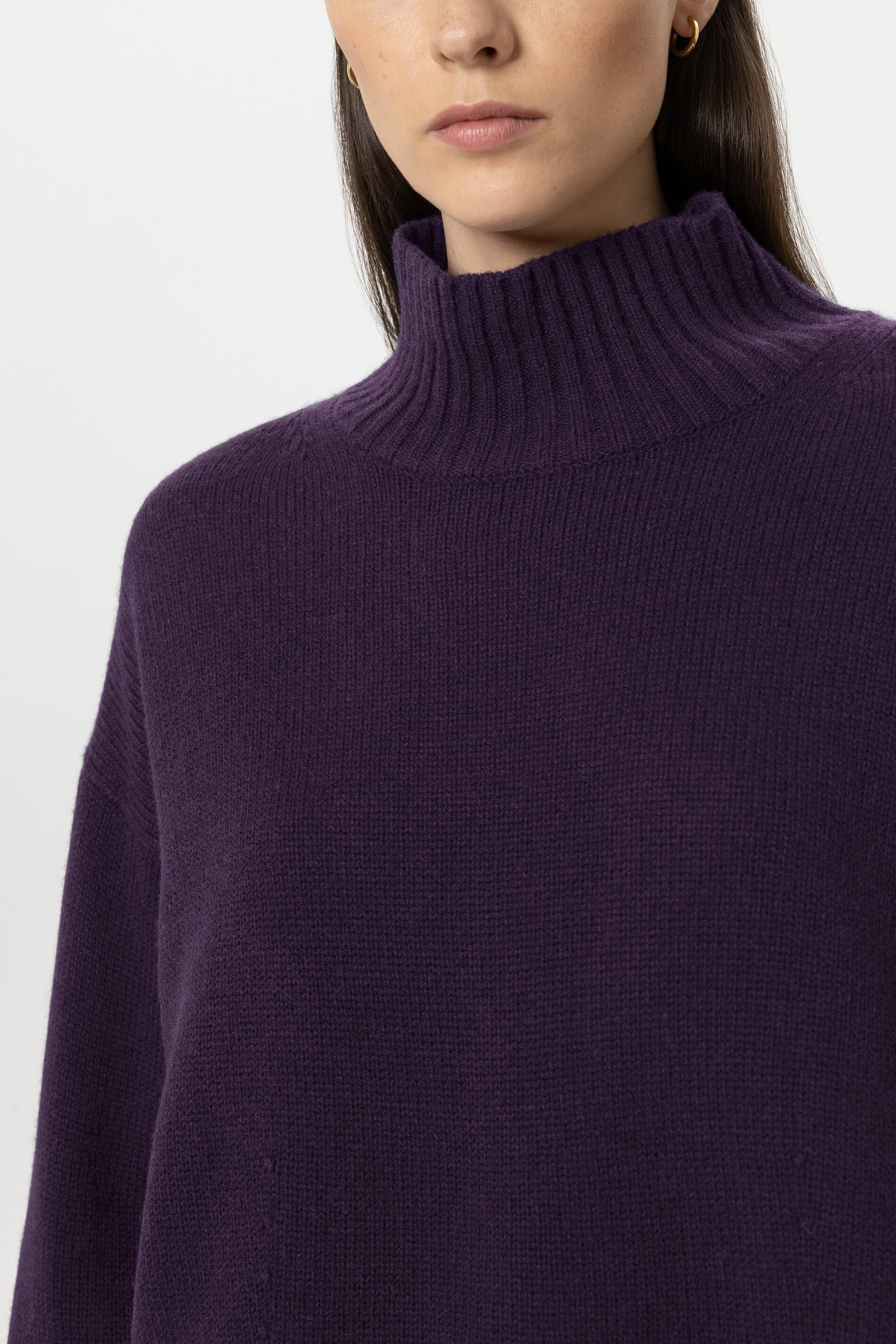 Turtleneck aus Woll-Mix - plum - Standard | Model Detail