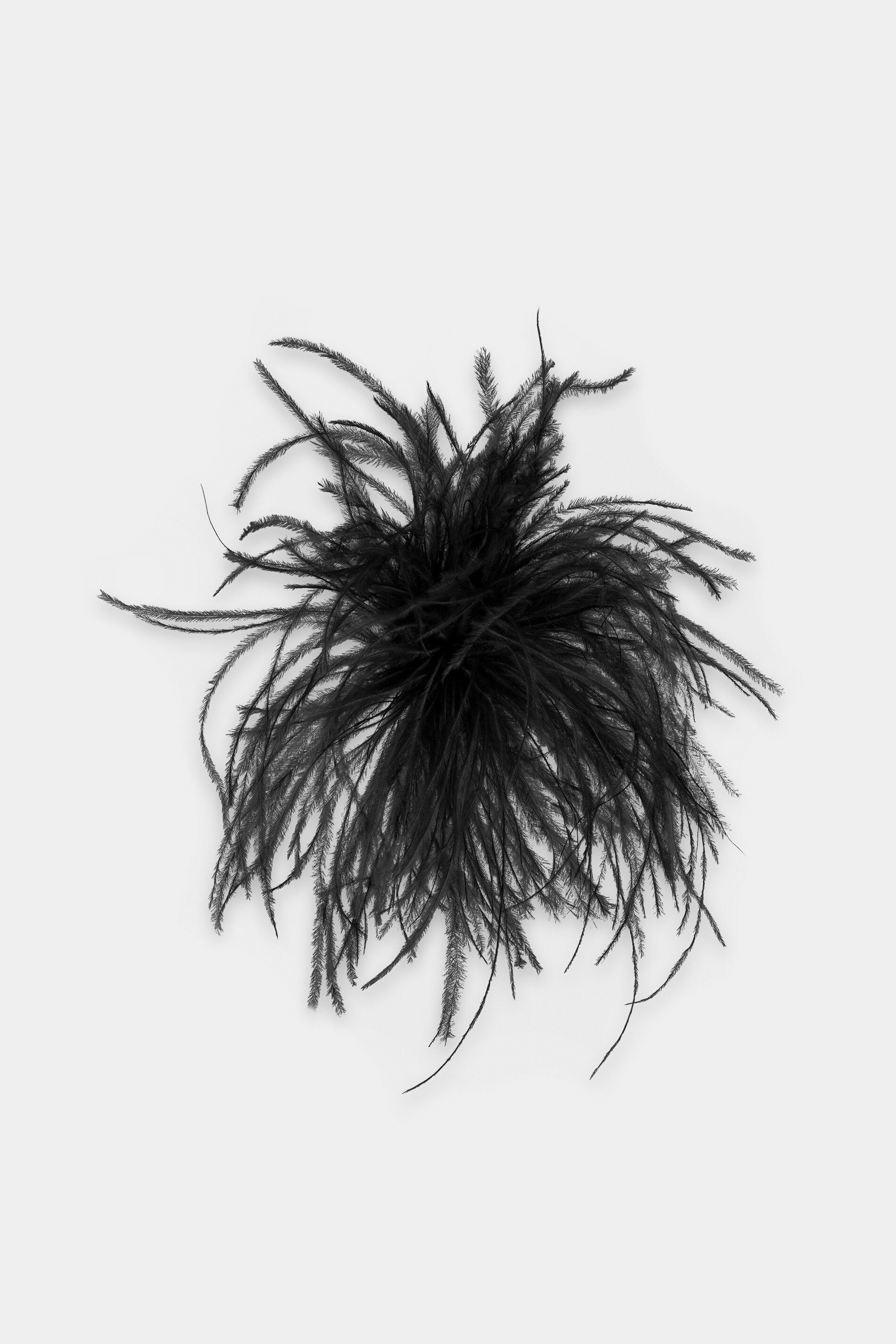 Feder-Brosche - black - Standard | Artikel Front