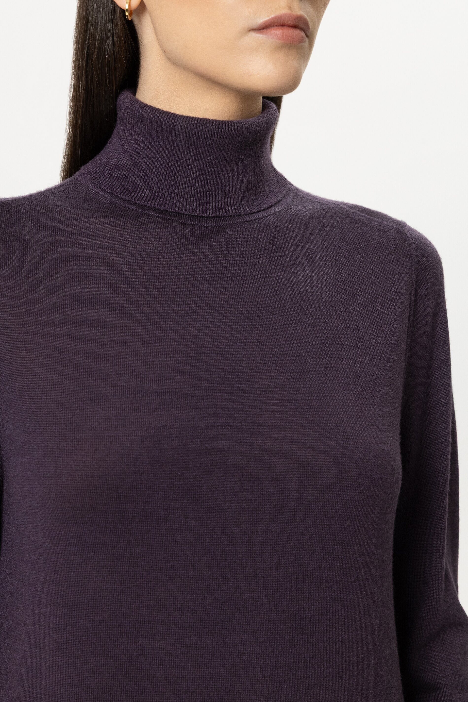 Turtleneck aus Woll-Mix - plum - Standard | Model Detail