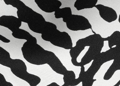 the animal camouflage print