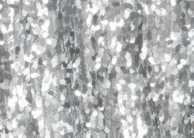 the macro silver sequins